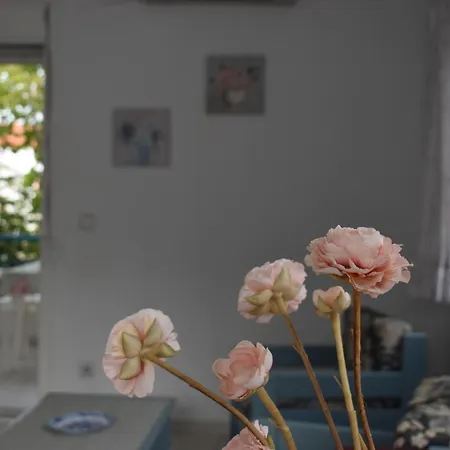 Niki Apartment *