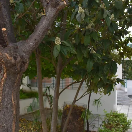 Niki Διαμέρισμα Πολύχρονο